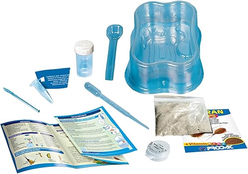 Miniatura 4 de Clementoni 62254.2 Triops Educational and Scientific Games