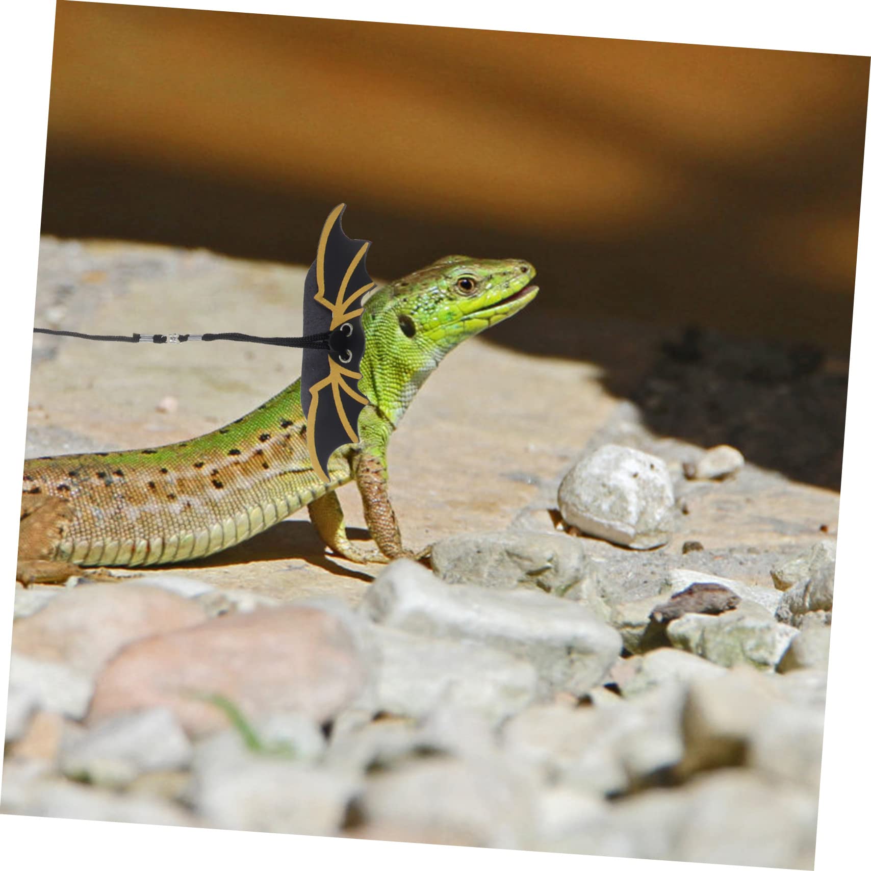 SEWOART Crawl Pet Leash Halloween Lizard Harness Reptile Outdoor Leash Gecko Traction Rope