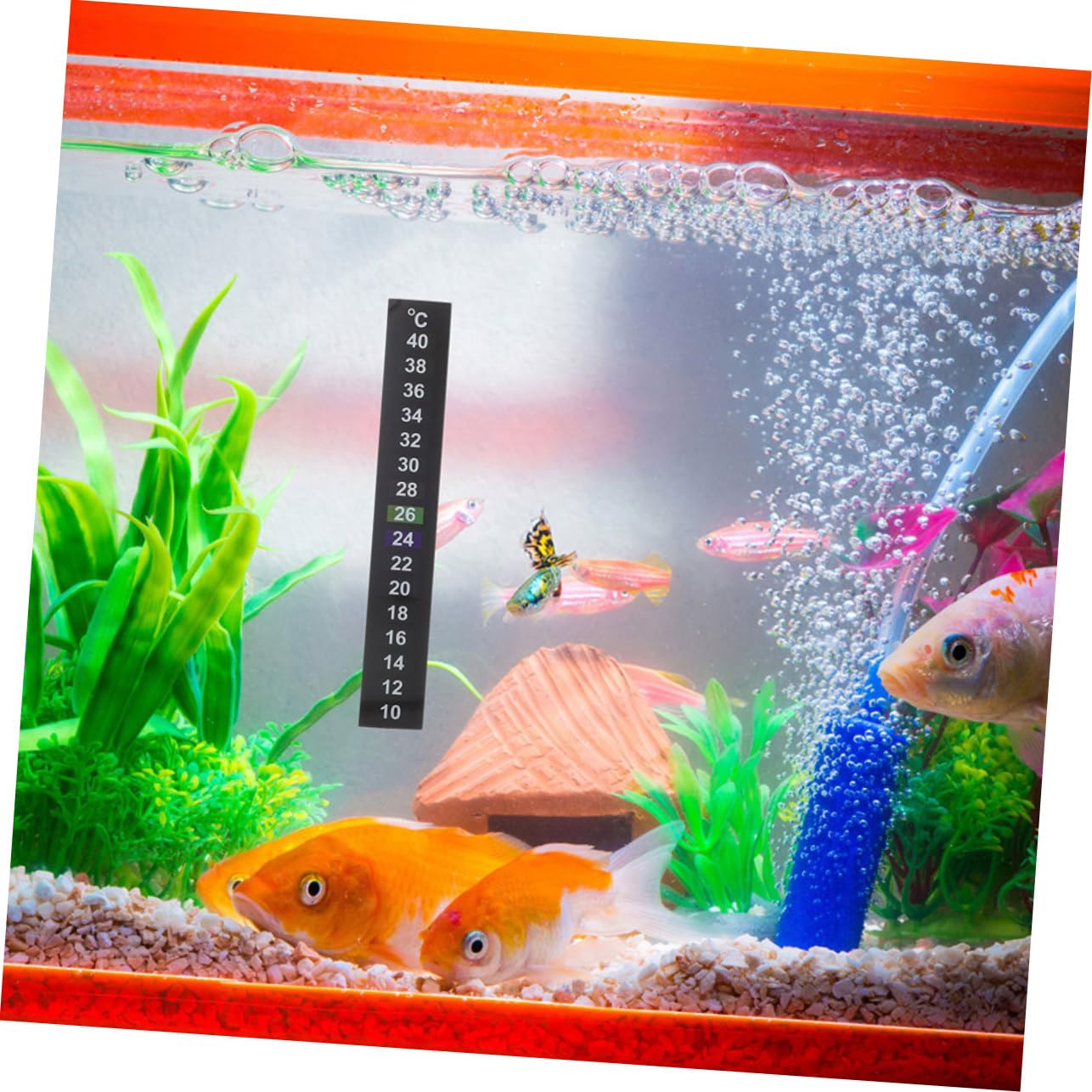 HANABASS Digital Thermometer Sticker for Fish Tank 12pcs Aquarium Sticker Thermometer Temperature Device Strips