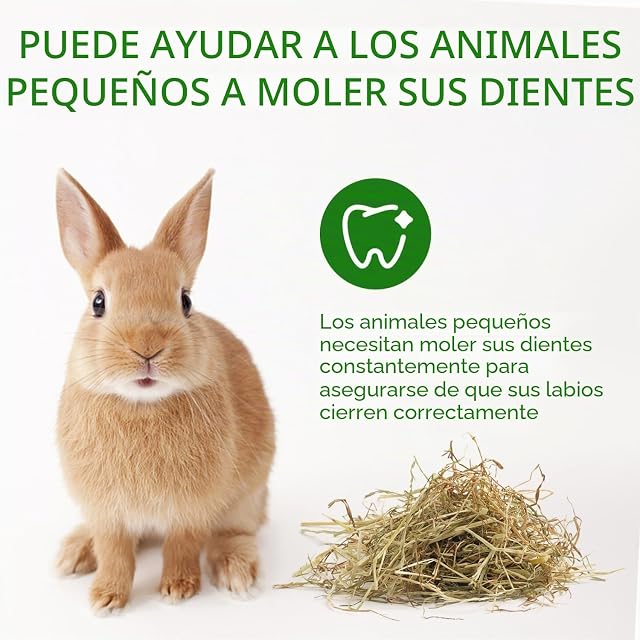 Foto 5 de 7 de Nobleza - (2 * 2.5kg Heno para Conejos, Comida Premium para Conejos Adultos, Alimento con Fibra Desgaste…