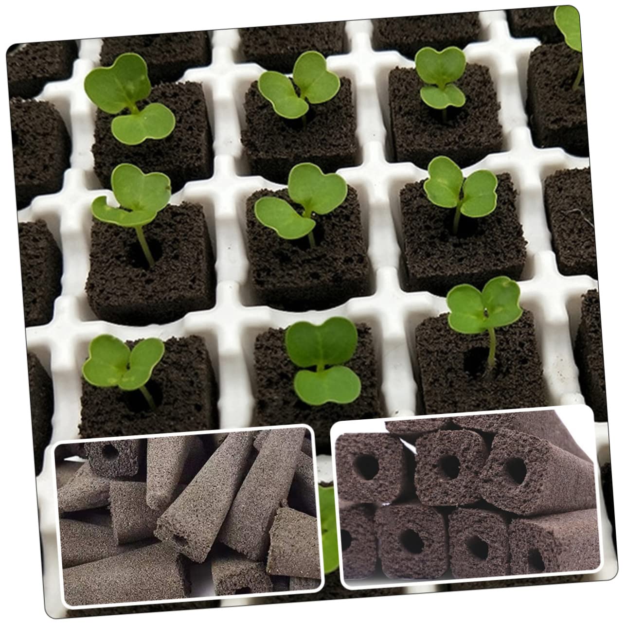 Sosoport 150pièces Bloc De Nutriments De Culture Soilless pour Accessoire De Jardinage Hydroponique