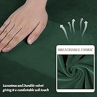 Vista 53 de WEERRW Fundas de terciopelo para sofá de 2 cojines, fundas de sofá de felpa de terciopelo de lujo de alta elasticidad, con parte inferior elástica