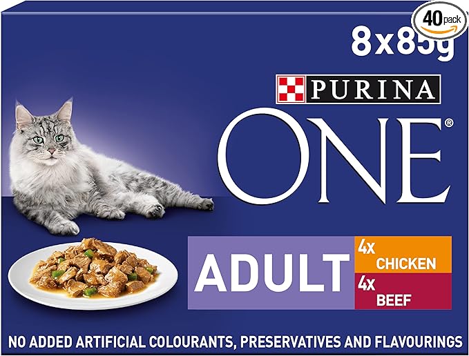 15 Best Wet Cat Foods In The Uk