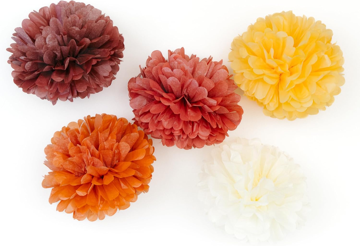 PapaKit 20pc Burnt Orange Tissue Paper Pom Poms - Earthy Garden Party Decorations for Wedding, Boho Baby Shower, Birthday Backdrop and Floral Hanging Decor