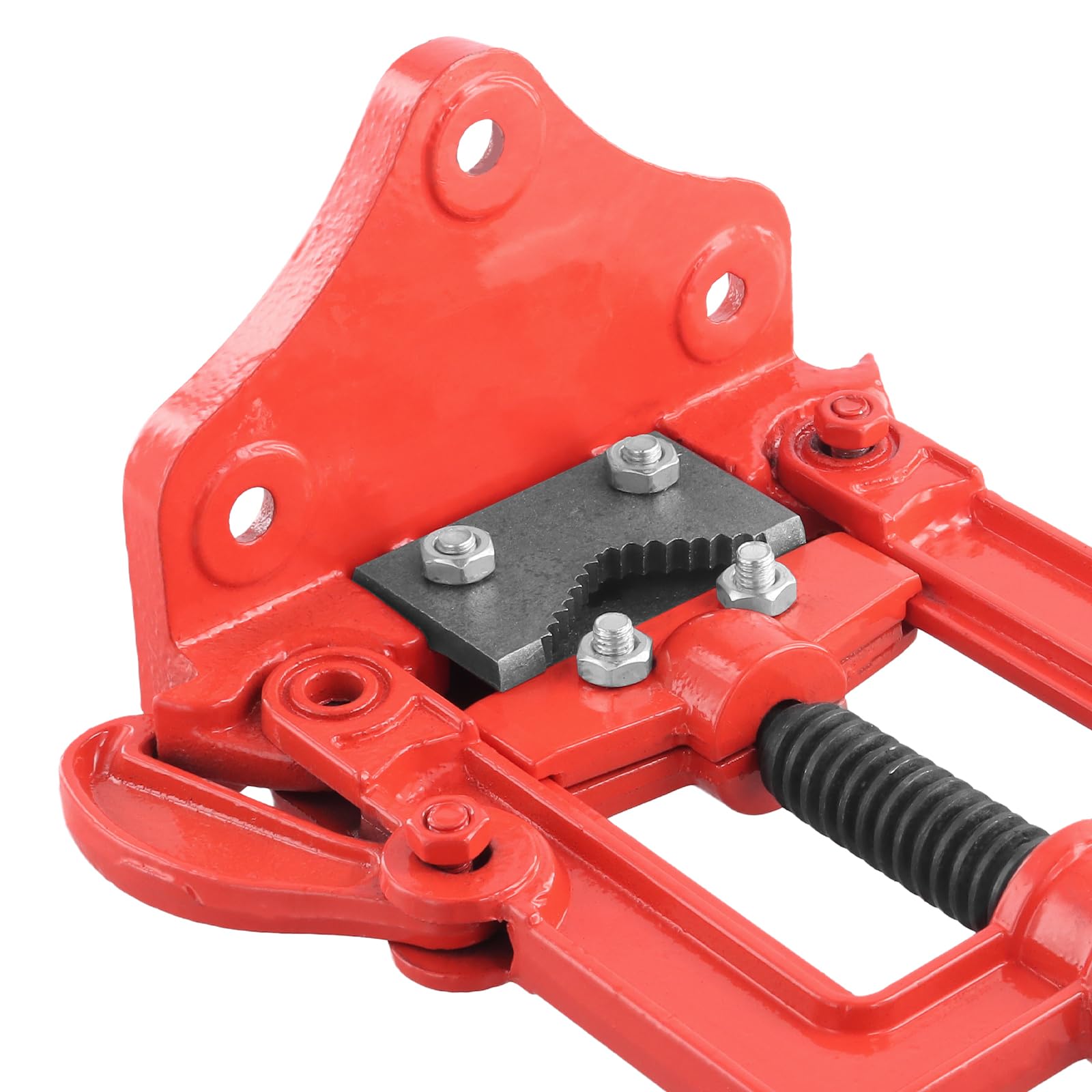 Morsa per tubi forgiata, 10-60 mm, morsa da tavolo di tubi