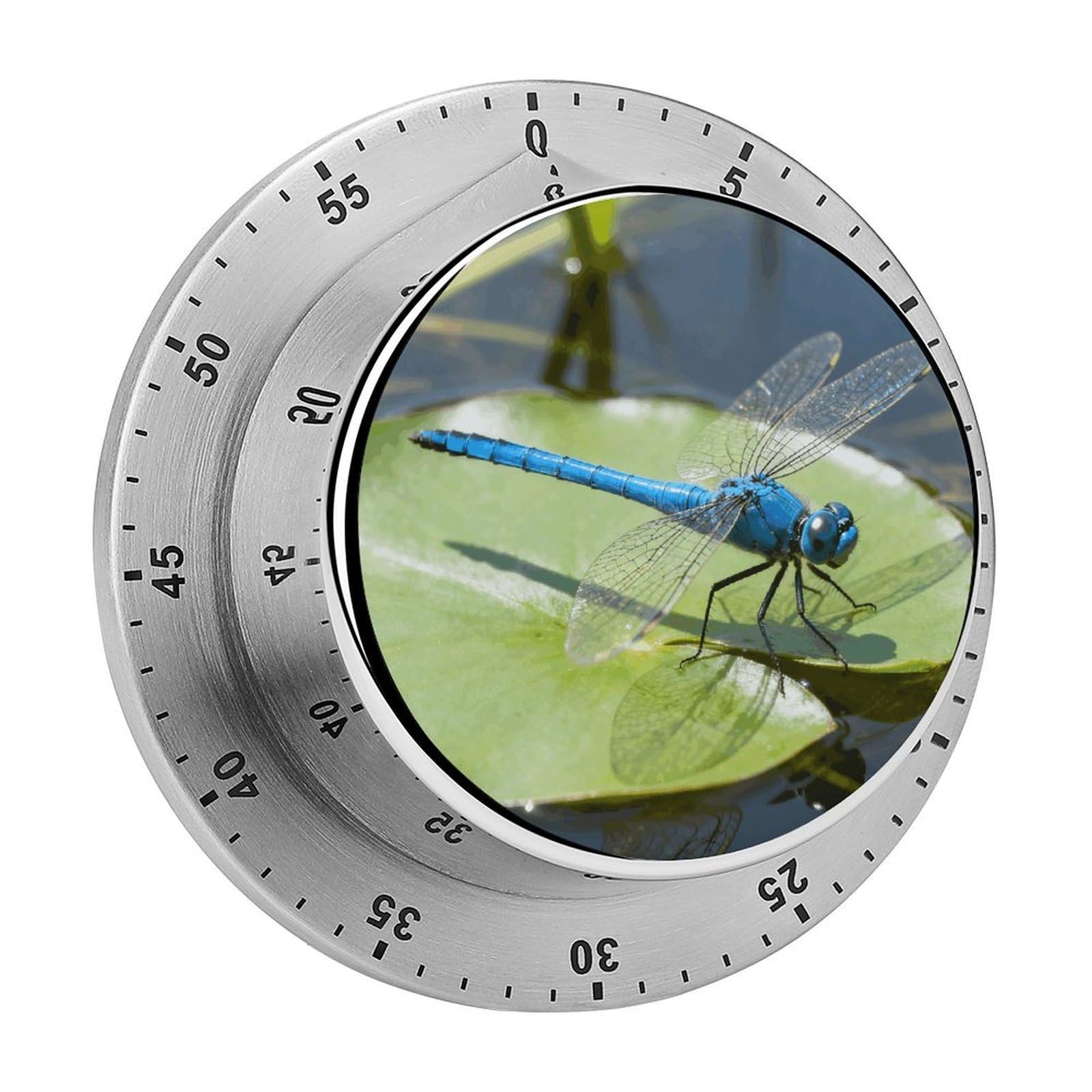 Dragonfly Mechanical Kitchen Timer, Magnetic Stainless Steel Countdown Timer, Loud Alarm Cooking Timer for Baking, Cooking, Fitness, Classroom, No Battery Needed
