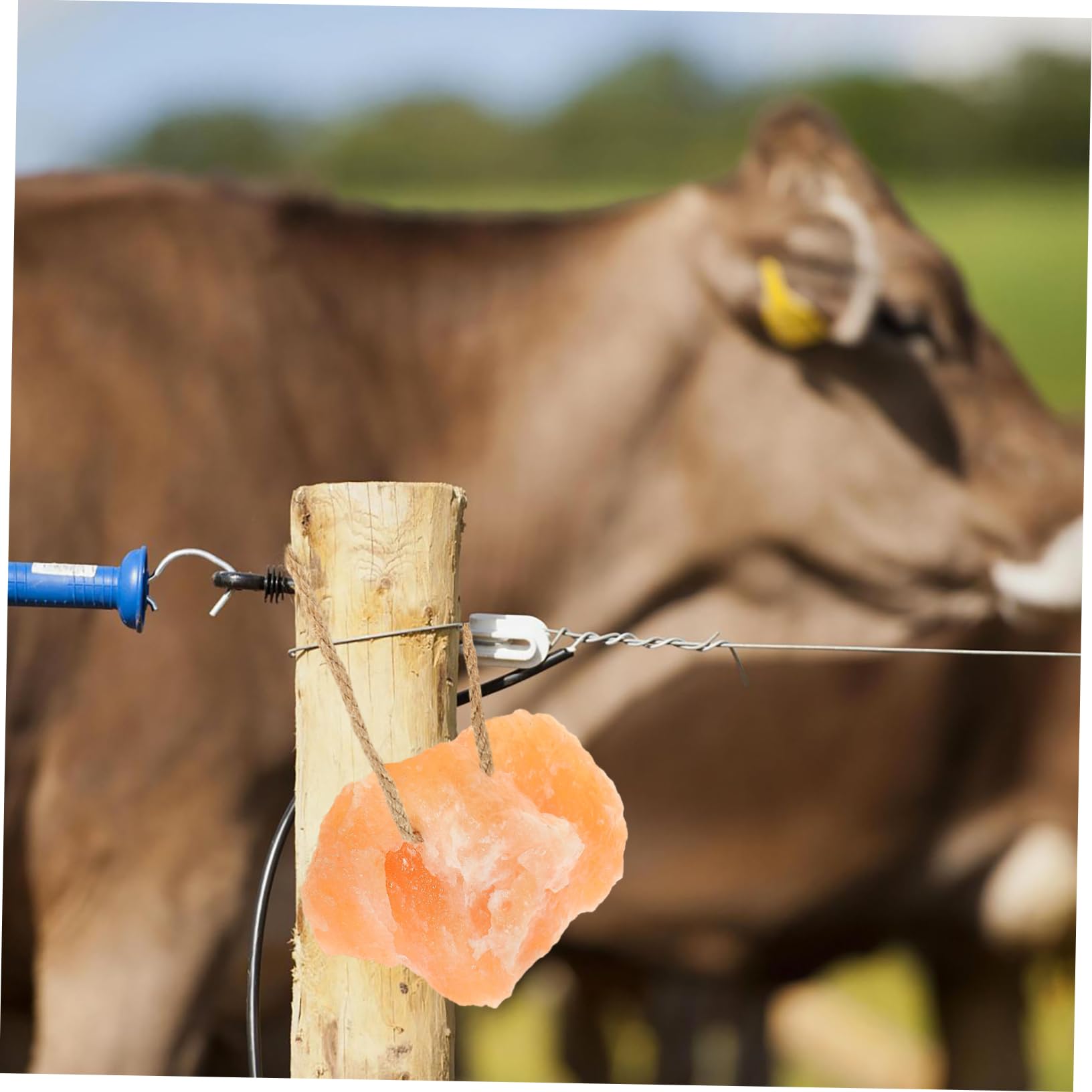 Blocco di Sale da Leccare per Bestiame Naturale 1 Pezzo | Lavorazione Fine, Facile da Sospendere, Solido, per Allevamento di Erbivori in Azienda Agricola