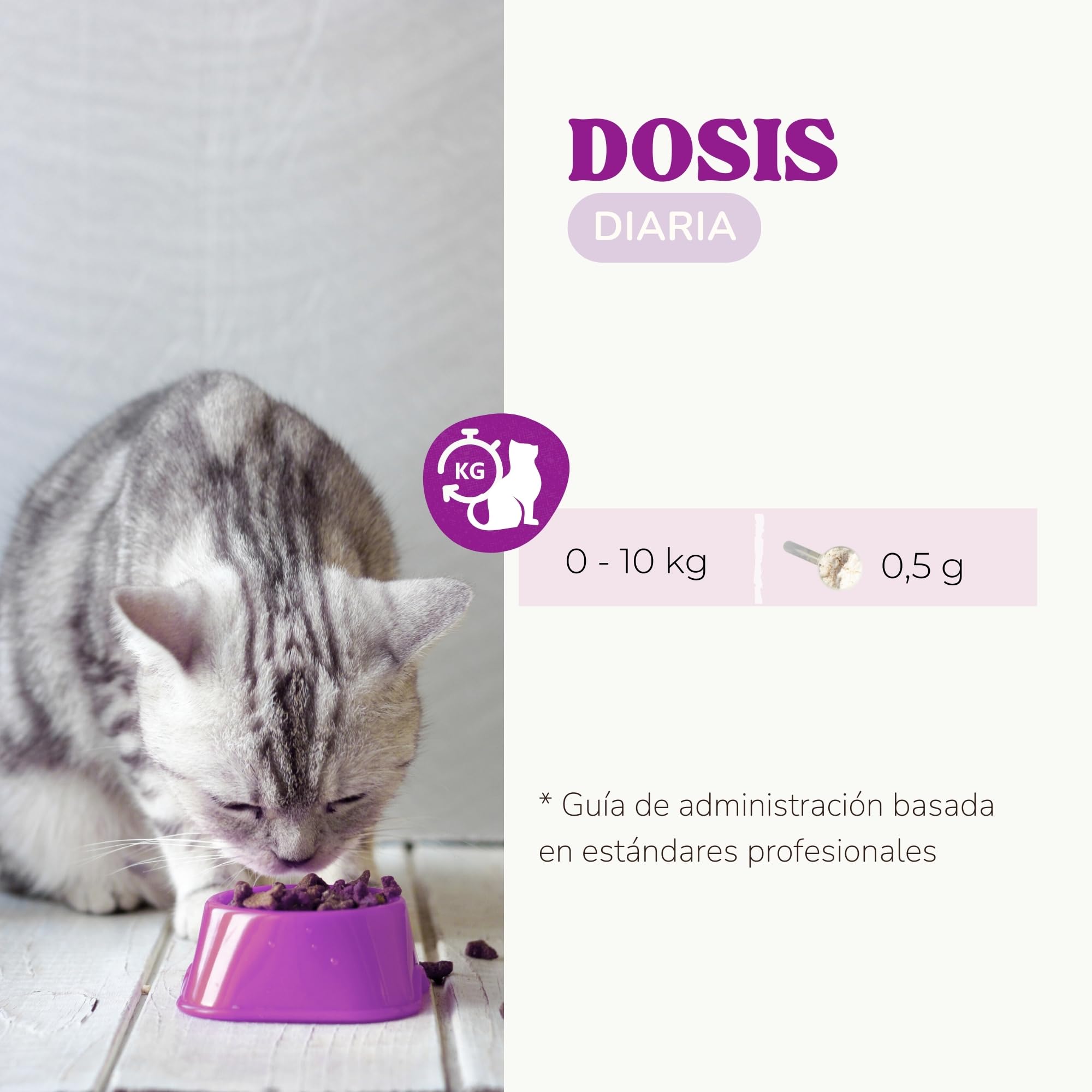 Lisina Gatos con Aminoácidos Esenciales para Reforzar el Sistema Inmunitario, Apoyar Las Vías Respiratorias y Prevenir el Herpes Felino, Suplemento Natural para Todas Las Razas y Edades