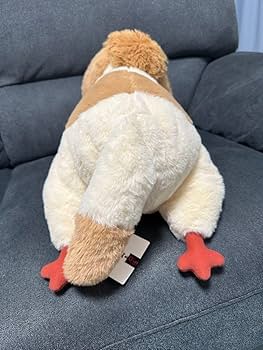 Amazon.co.jp: ジブリパーク ヒン ぬいぐるみ 13人の魔女団