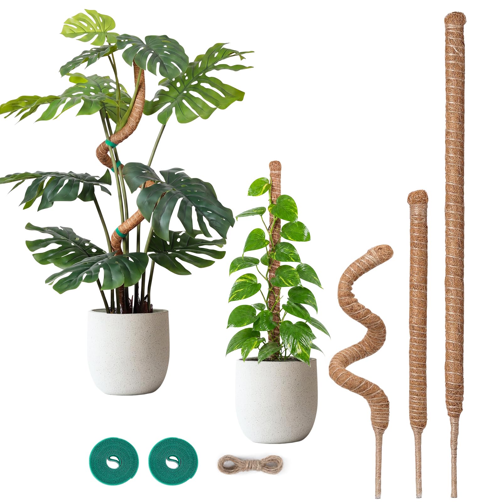 Amazon | モスポール モンステラ 植物サポート 3パック 28インチ & 1