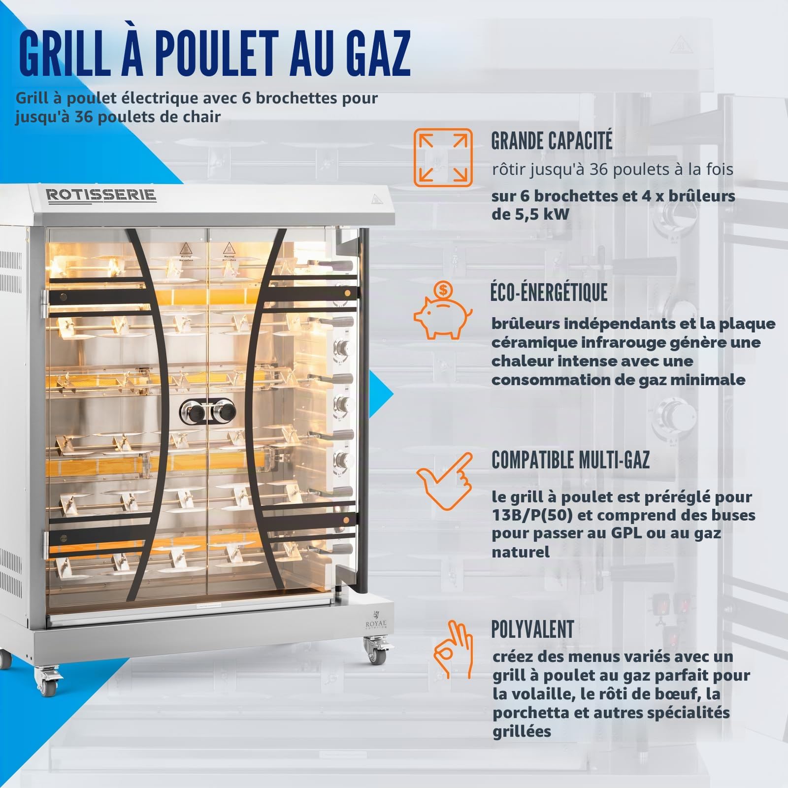 Royal Catering Rôtissoire à gaz - 6 broches pour 36 poulets