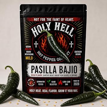 Pasilla Bajio Pepper Seeds Authentic Mexican Chile Pepper Mild Heat Heirloom Seeds 25+ Seeds