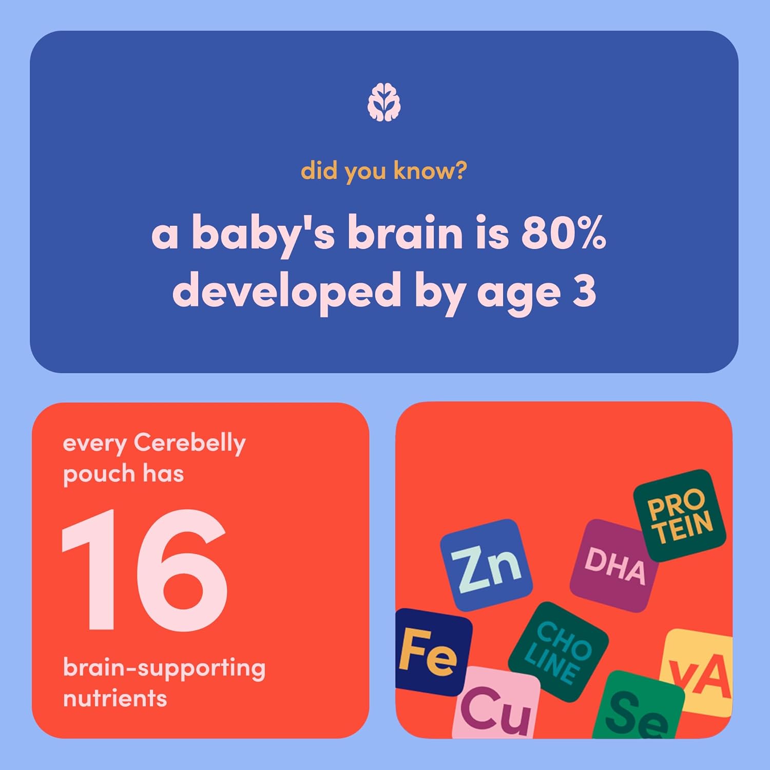 Cerebelly Organic Baby Food Pouches, First Flight Sampler Variety Pack, No Added Sugar & Non-GMO, 4 oz, 24 Count