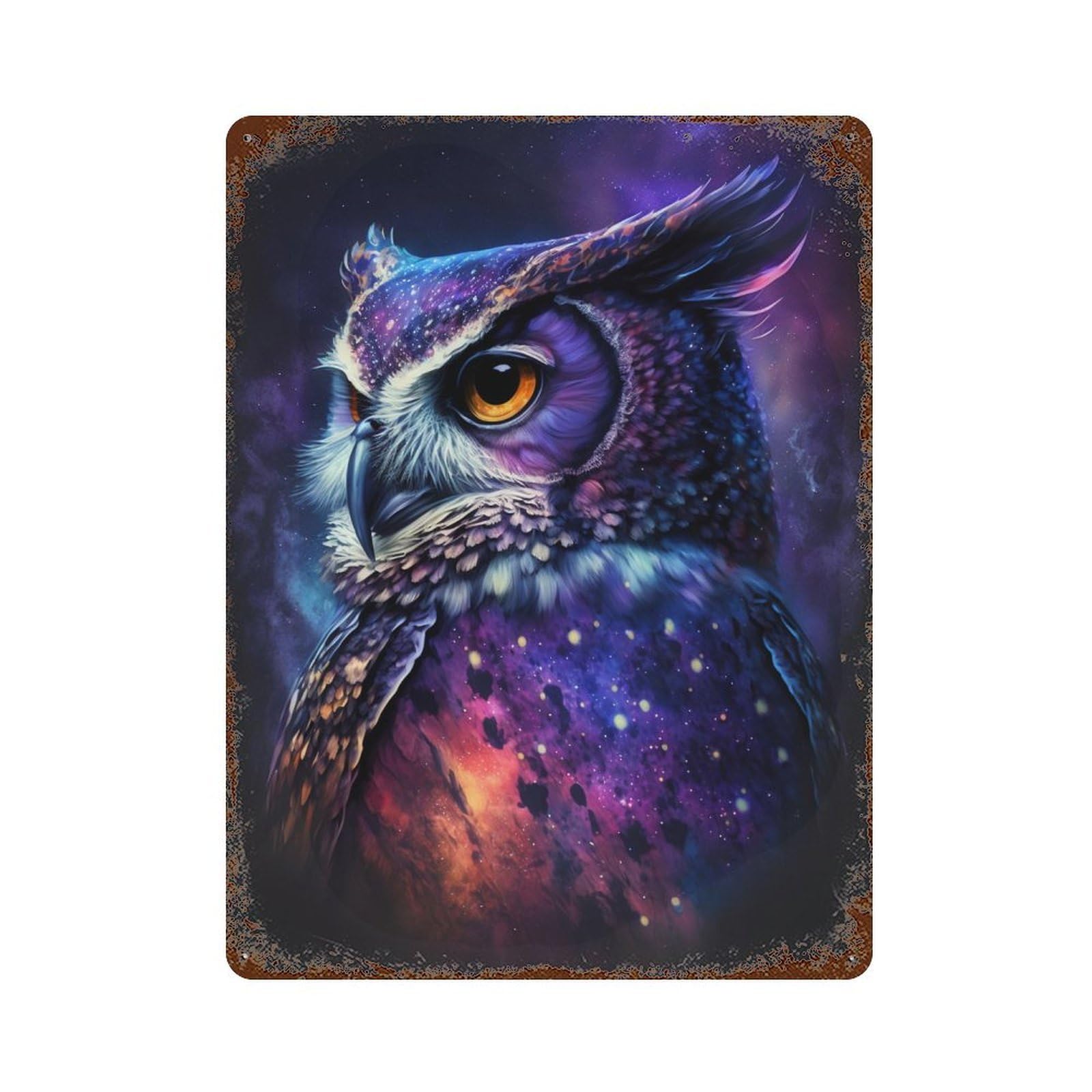 Cosmic Owl Art Print-14 Vintage Rust Metal Sign 15.7"x11.8", Ideal for Bistro, Counter And Cafe Decor