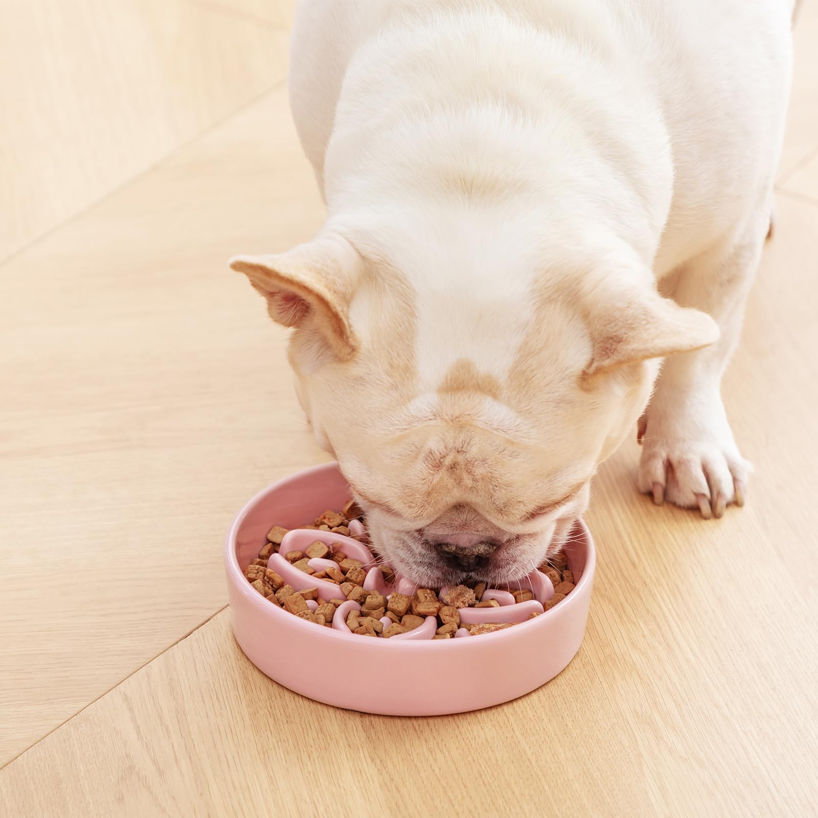 vancasso Ceramic Slow Feeder Dog Bowls, Puzzle Dog Food Bowls with Floral Maze, Anti -Slip Pet Food Dish for Small Breed, 0.6 Cups, Pink - image 7