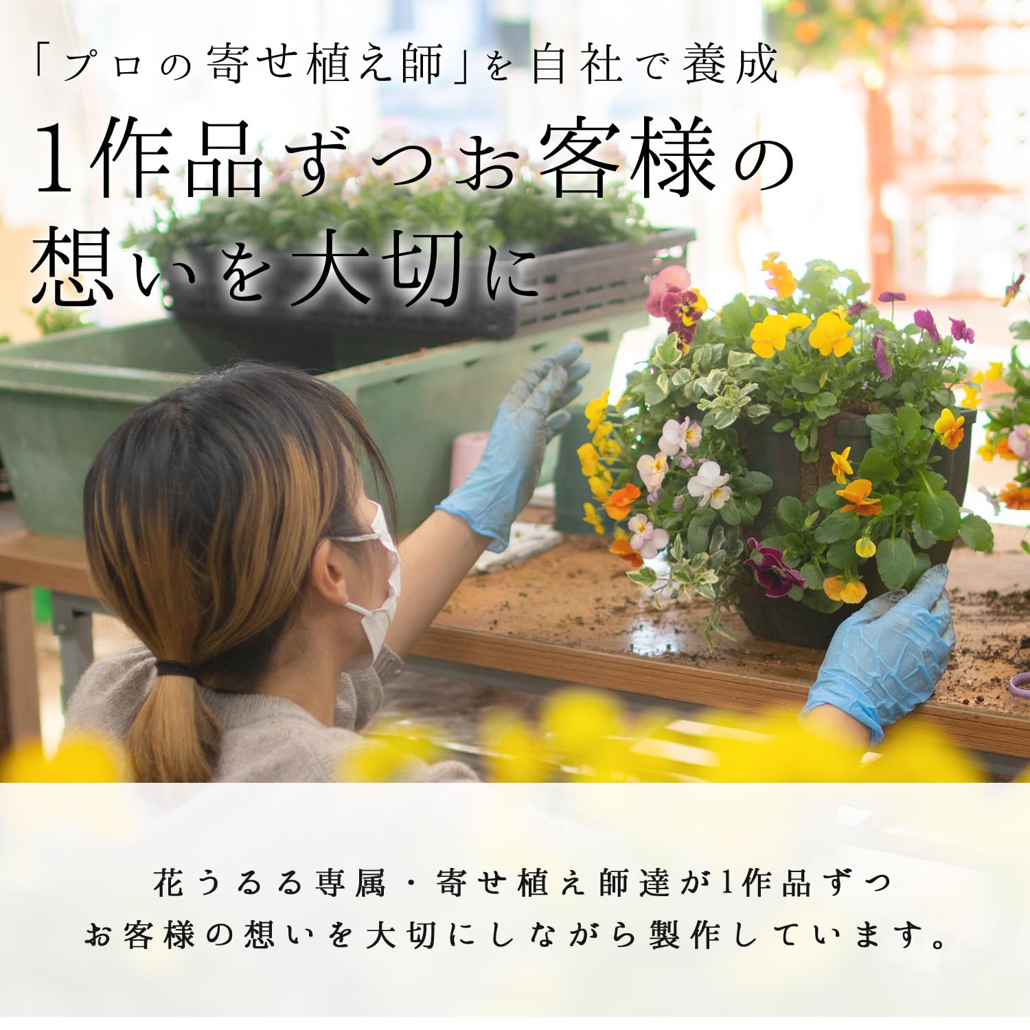 Amazon.co.jp: パンジー＆ビオラのハンギングバスケット 花うるる 寄せ