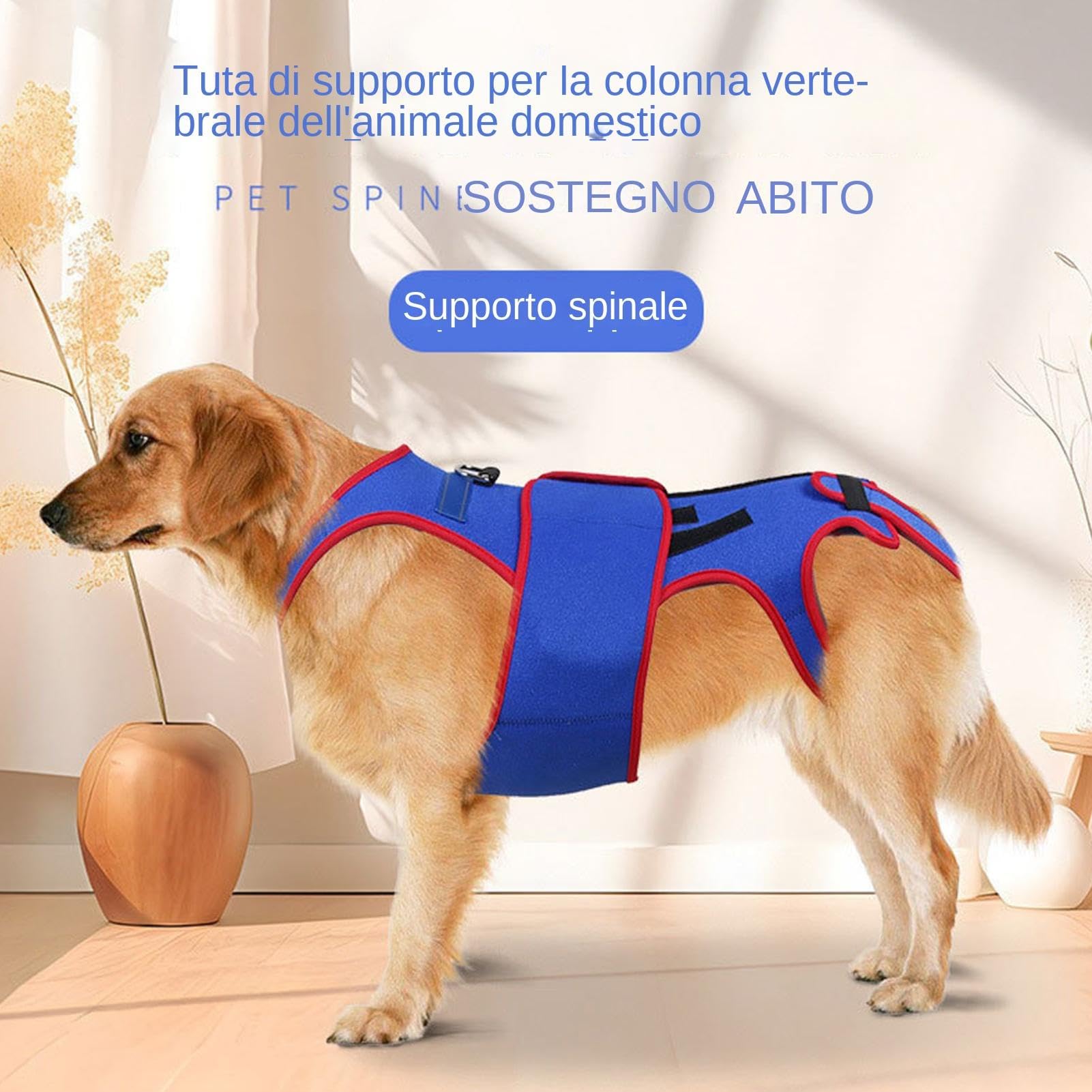 Tutore Per La Schiena Per Cani - Tutore Per La Schiena Del Cane, Anello A D E Strisce Riflettenti Il Tutore Per La Schiena Del Cane Aiuta A Dare Sollievo Dal Dolore, Supporto Morbido Per La Gamba