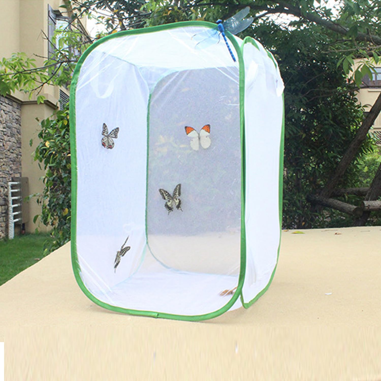 Butterfly and Insect Habitat Cage,Ompinda Collapsible and Transparent Pop-up Butterfly Net Cage for Caterpillars, Flying Insect,Observation Plant - 4