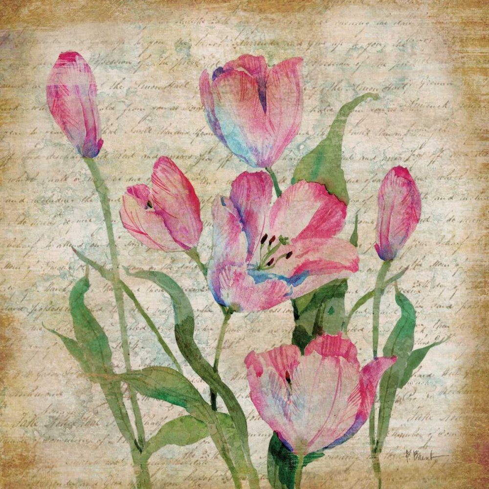 CANVAS-FRAMED-with-AMERICAN-BOX Poetic Garden II Brent Paul - Floral square Art print cream tan pink green flower flowers floral tulip t Floating frame 22_X_22_in