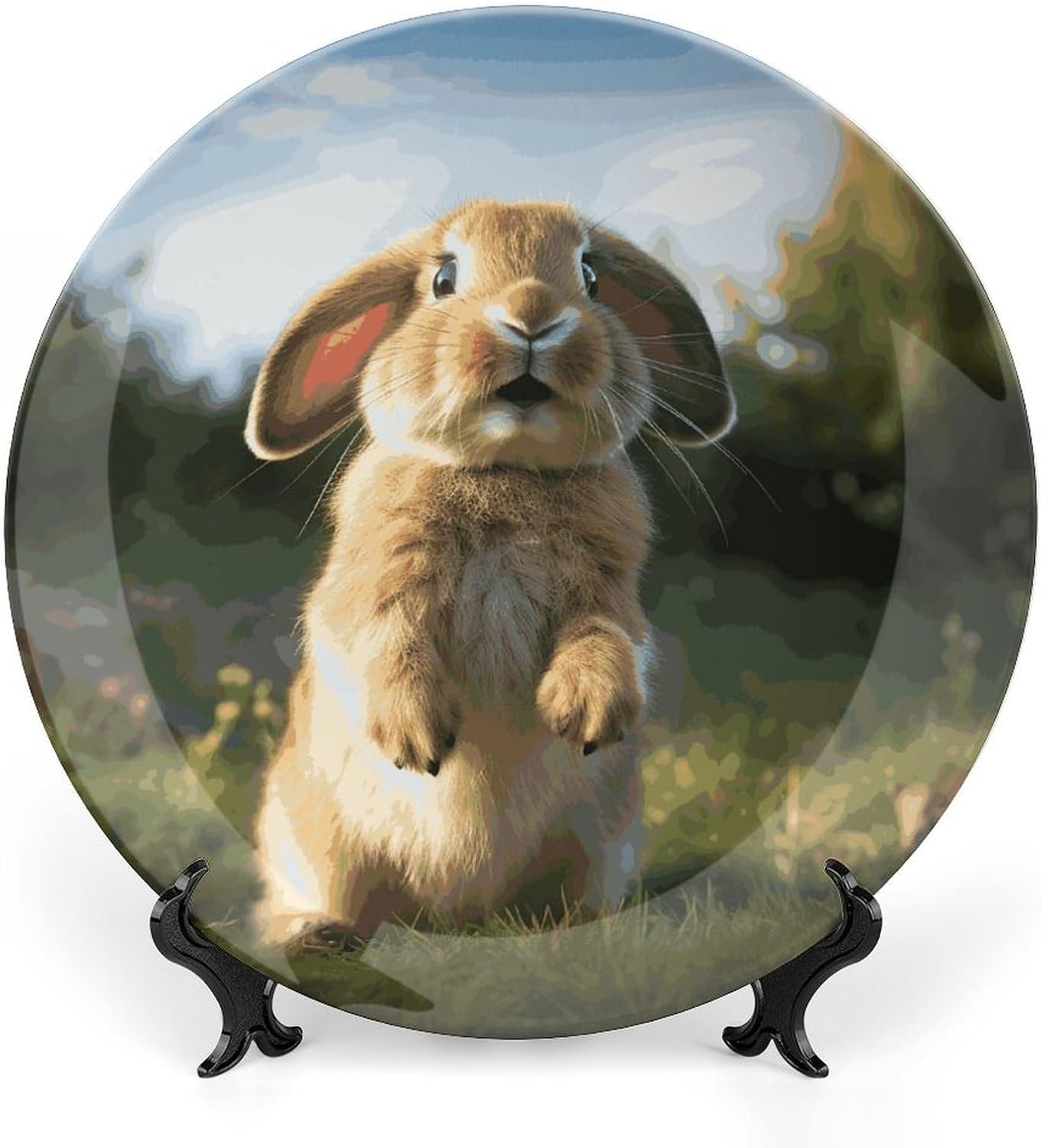 Cute Funny Rabbit Ceramic Decorative Plate for Home, Bone China Plates