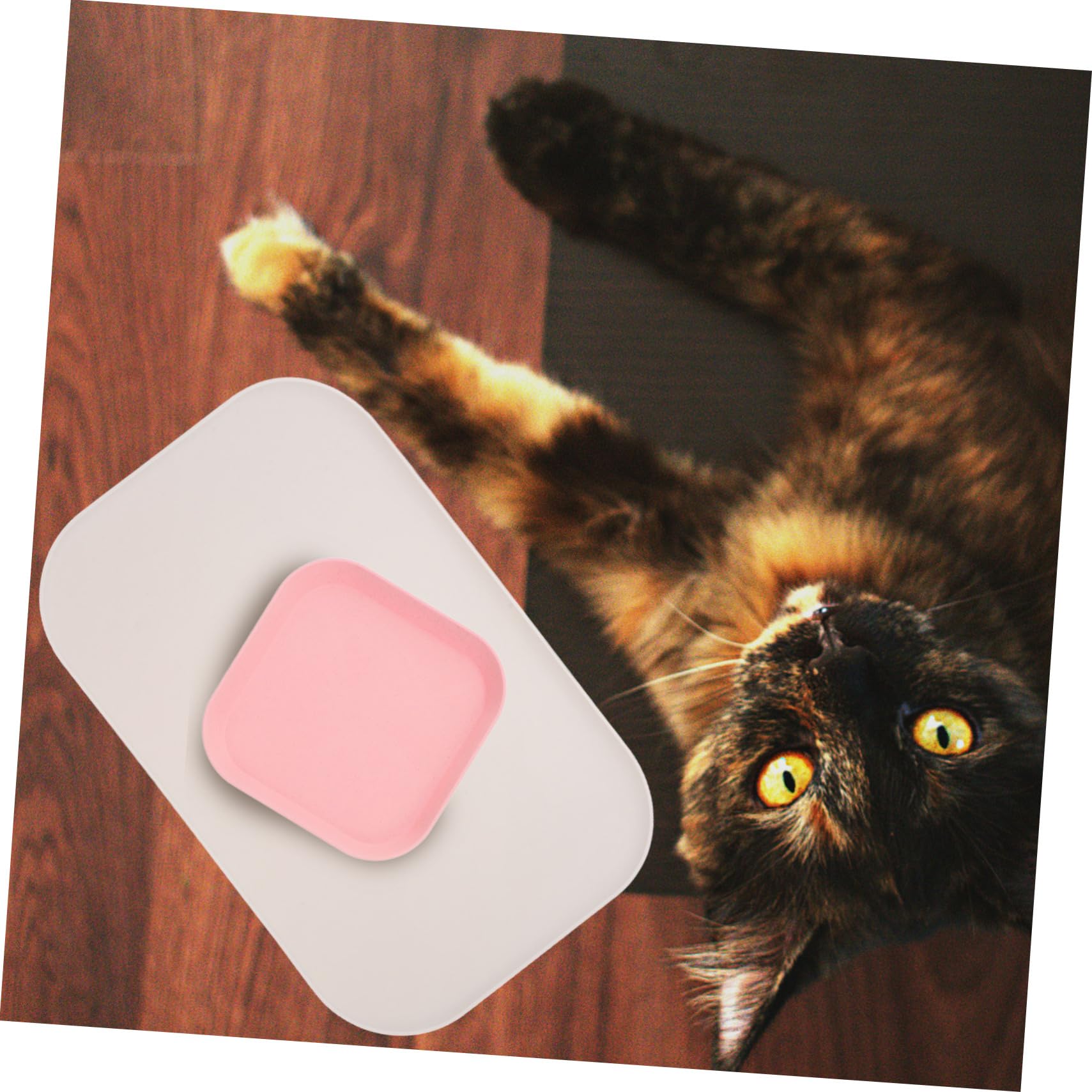 Yardwe 4stücke Silicone Pet Feeding Mat Mit Erhöhtem wasserdichte Futter Und Wassermatte Für Hunde Und Katzen rutschfest Leicht Zu Reinigen Für Zuhause Und Unterwegs