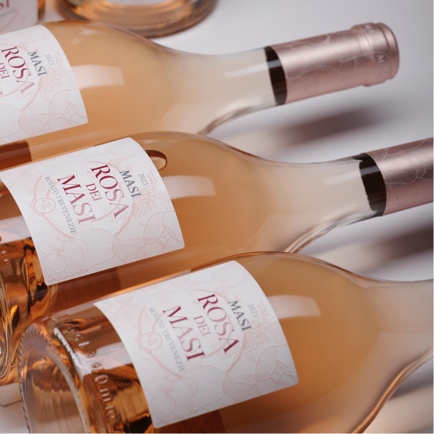 MASI "ROSA DEI MASI" 2024 | Vino Rosato Trevenezie IGT | 6X750 ml |6 Kastenflaschen