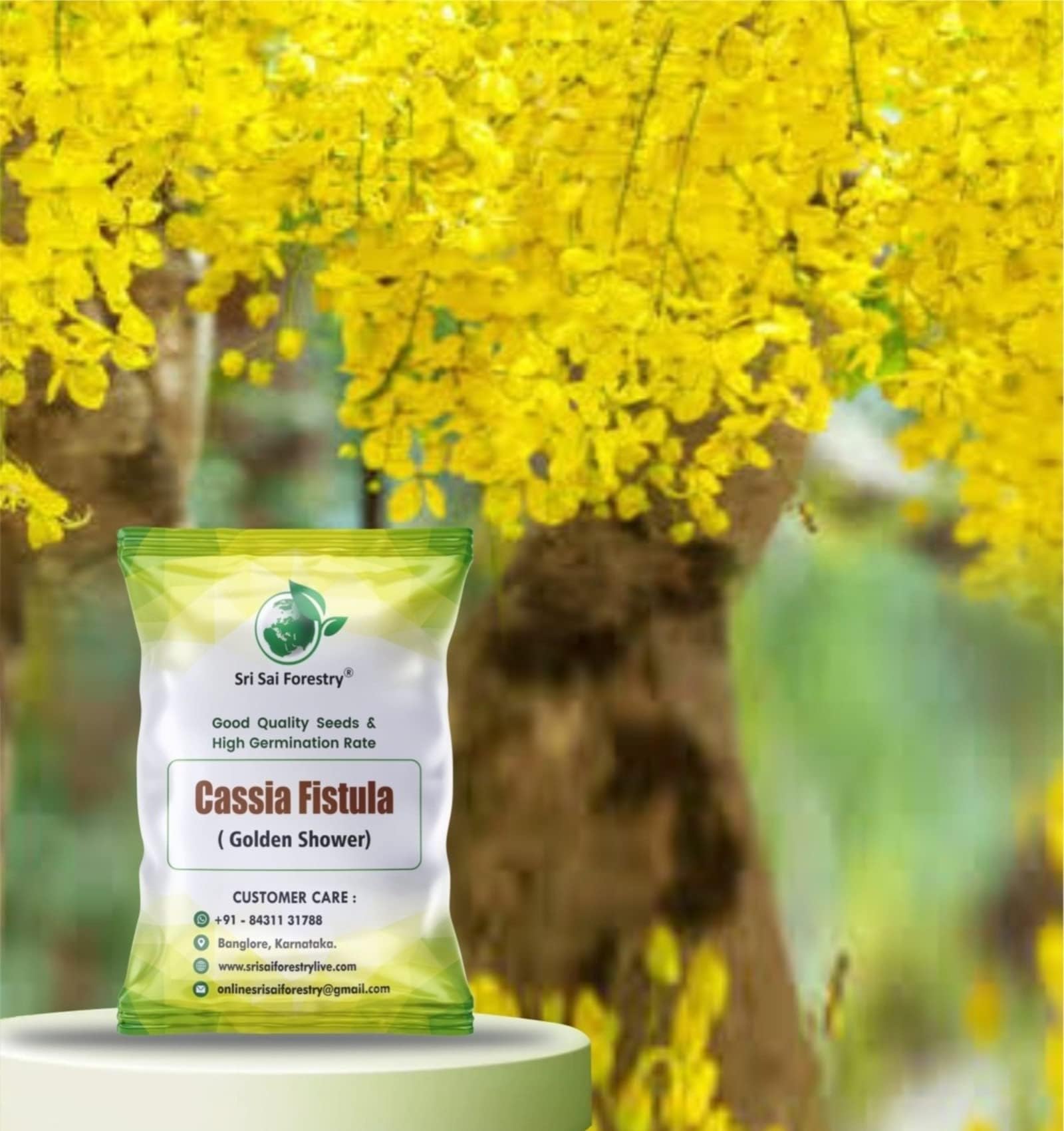 SRI SAI FORESTRY Cassia Fistula Tree Seeds, Golden Shower Plant Seeds, Amaltas - 100 Seed