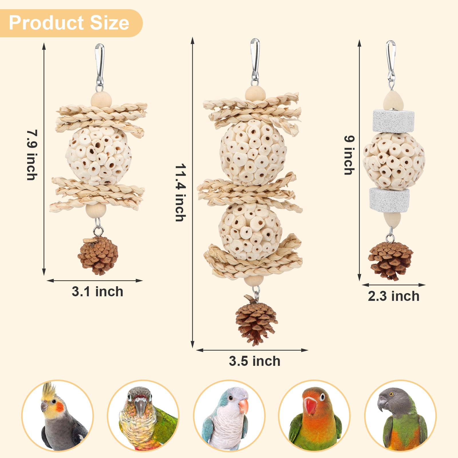 Wontee Bird Toys 3 Pack Parrot Foraging Hanging Toys Sola Ball Natural Nuts Chew Toys for Cockatiels Conures Parakeets Budgies Senegal (3 Pack) - image 5