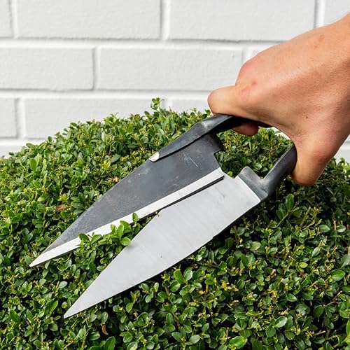 Miniatura 6 de BERGER Cizalla topiaria de grado comercial, cizalla de oveja, cuchillas de tijera autoafilables de 6.1 pulgadas, resorte redondo, 2712