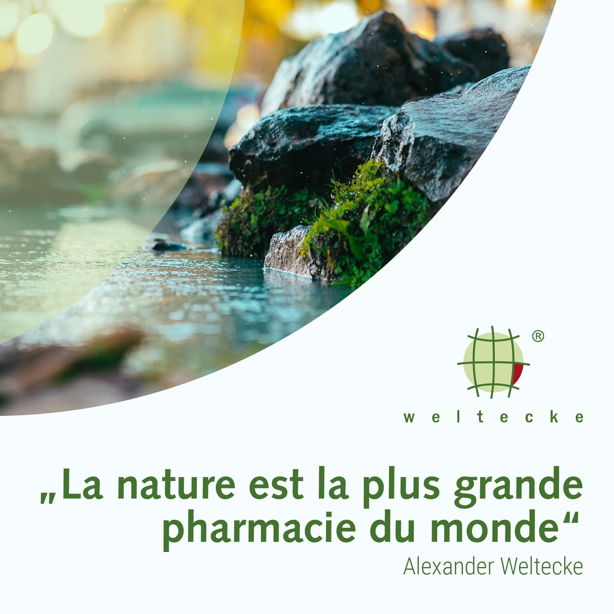 Weltecke Sel de Bain Relaxant 2800 g | Sans Toxines ou Additifs & 100% Naturel | Parfait pour du Bain de Pieds, Bain de Mains ou du Spa | Avec du Sel Marin & Minéraux Naturels | Pour Peaux Sensibles