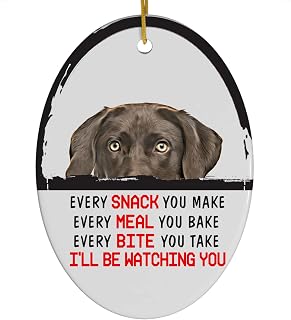 Every Snack You Make I'll Be Watching You Chocolate Labrador Retriever Christmas Ornament - Funny White Oval Ceramic Decoration Gifts for Dog Lovers