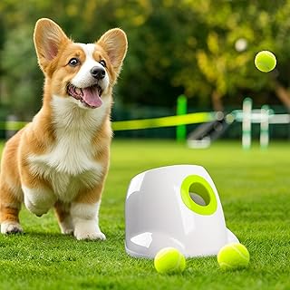 ALL Automatic Dog Ball Launcher
