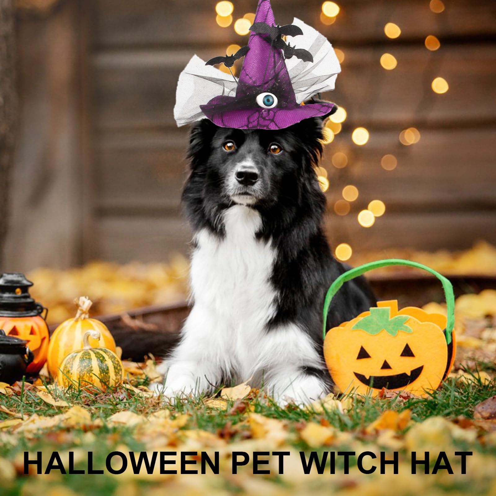 Dasdffvf Pet Witch Hat Dogs Cats Halloween Parties Witch Hat with Stretch Chin Rope Practical Dogs Cosplay Hat for Photography