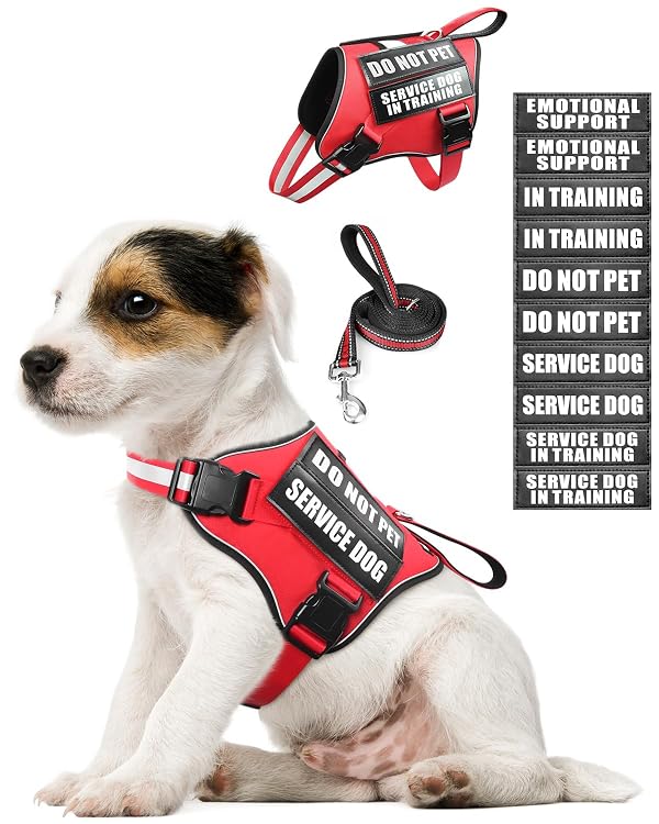 MOOGROU Service Dog Vest Harness and Leash Set+10 Patches for Puppy Small Dogs,Do Not Pet Emotional Support Dog Vest with 2 Soft Padded Handle for Everyday/Training (Red XS) by MOOGROU - Used condition - CA$21.85