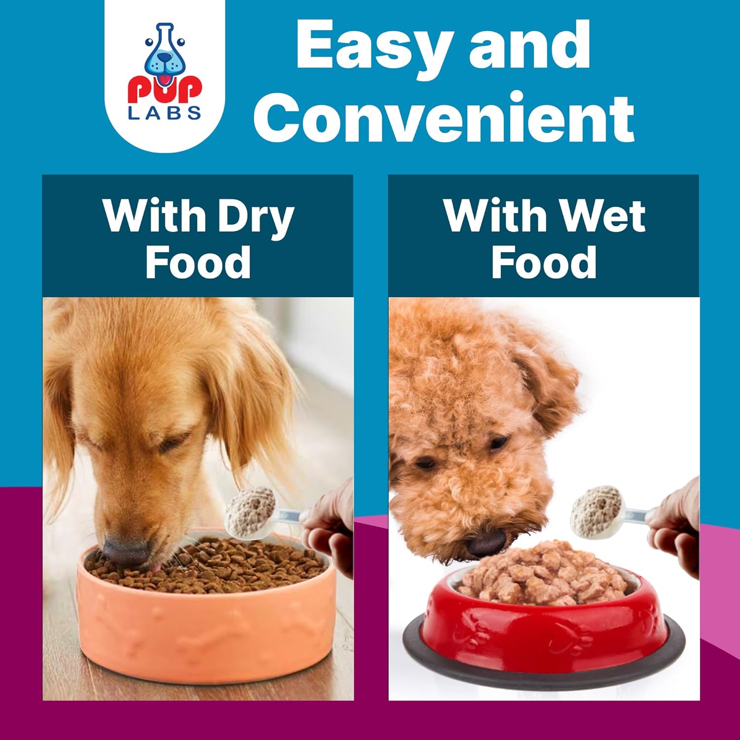 K9 Belly Bliss, All-Natural Gut Health for Dogs, Vet Approved Prebiotic for Dogs for Daily Digestive Support and Dog Constipation Relief, Easy to Use Topper for Dry and Wet Food, 30 Scoops.