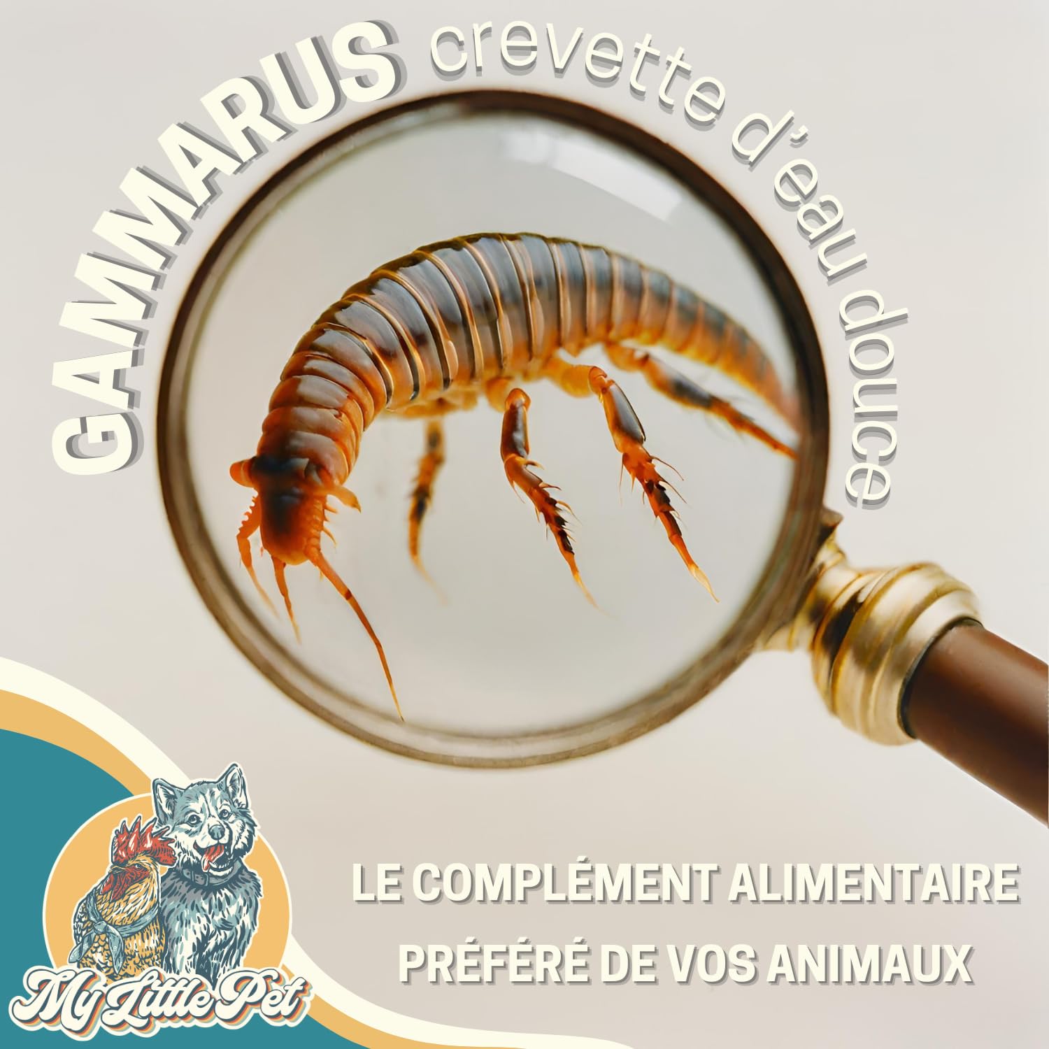 50g Gammarus wysokiej jakości | Białko +42% | Pokarm dla żółwi, Koi, Ryb, Gady | Suszone Krewetki Słodkowodne | Worek zamykany | Naturalny suplement diety | Francuska marka