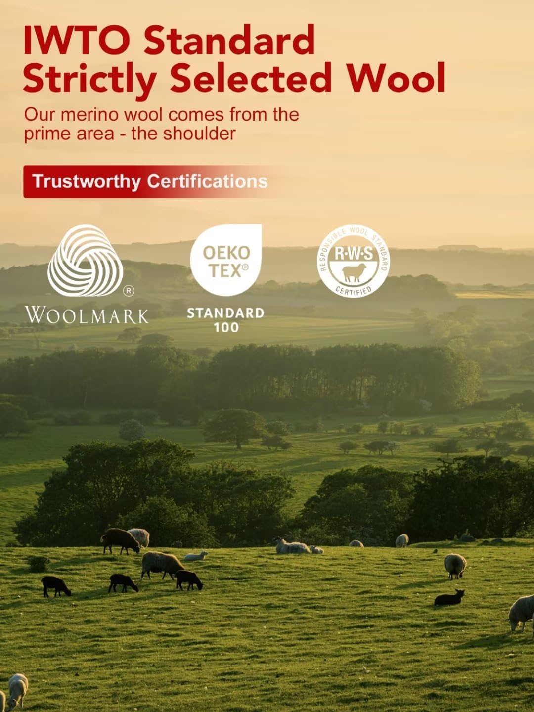 Men's Midweight 100% Merino Wool Base Layer Thermal Long Sleeve for All Seasons