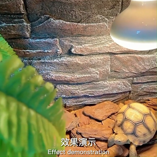 Amazon | AIYOI 爬虫類ケージ 背景 3D 魚タンク テラリウム 水槽