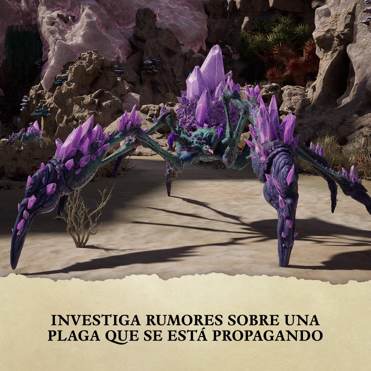 Xbox – Juego Avowed Standard Edition – Codigo digital para Xbox Series X|S y Windows