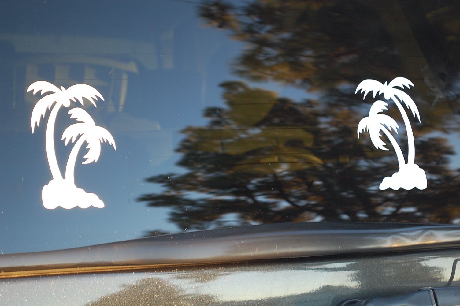Palm Tree Vinyl Decal (Set of 2) - Choose Color (V13) (Black)