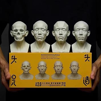 Generic 4 Pack Head Model for Drawing Reference, Artists Manikin, Skull Muscle Plane Heads Set, Color White, 13.2cm