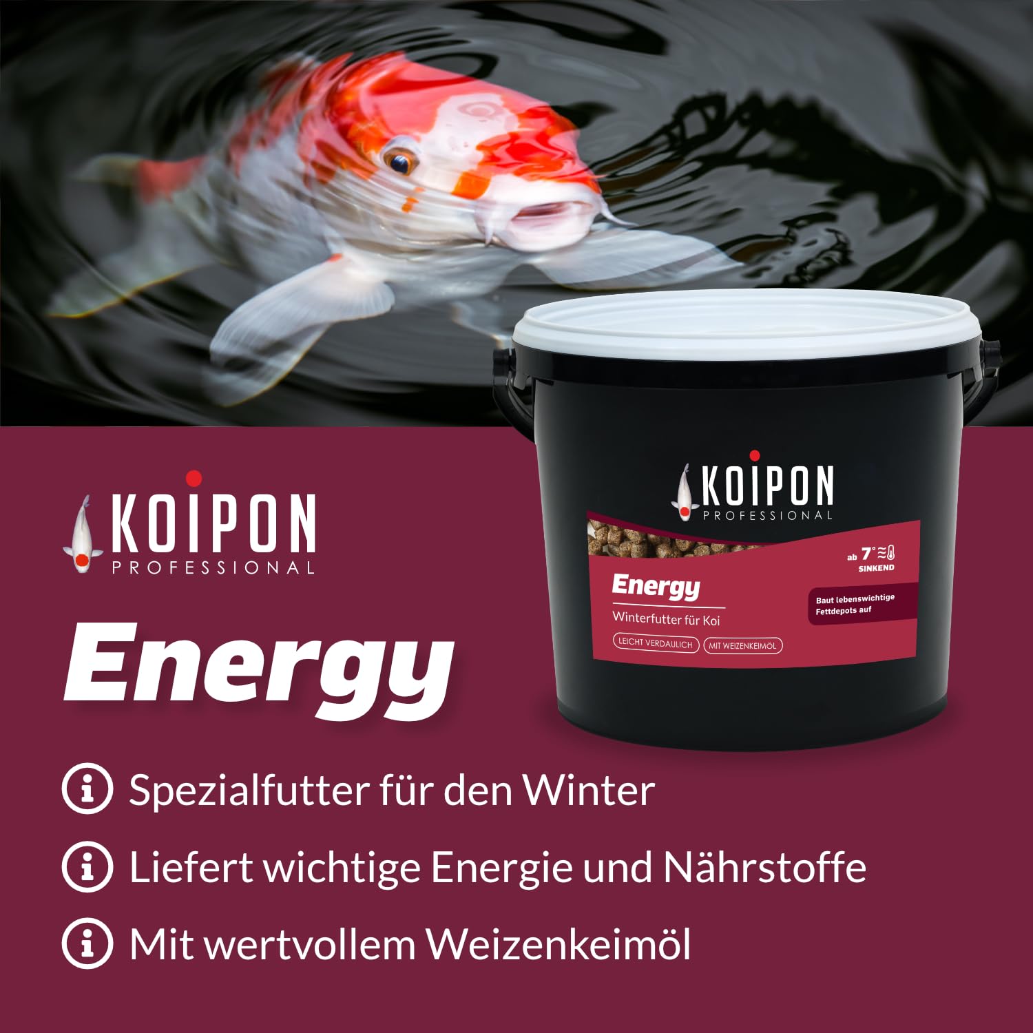 KOIPON Energy Winterfutter 3 kg 6 mm, sinkend, für Koi & Goldfische