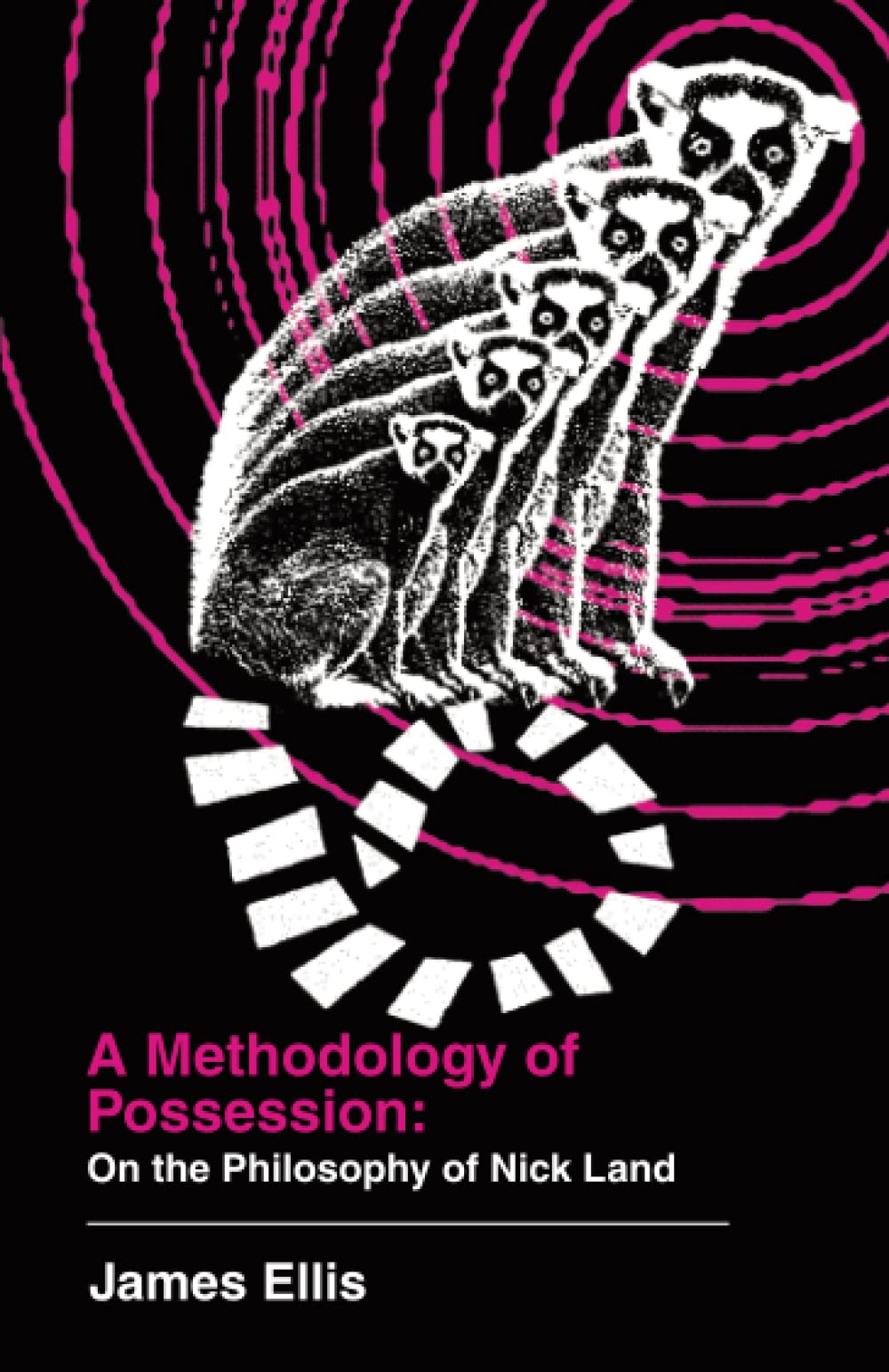 A Methodology of Possession: On the Philosophy of Nick Land