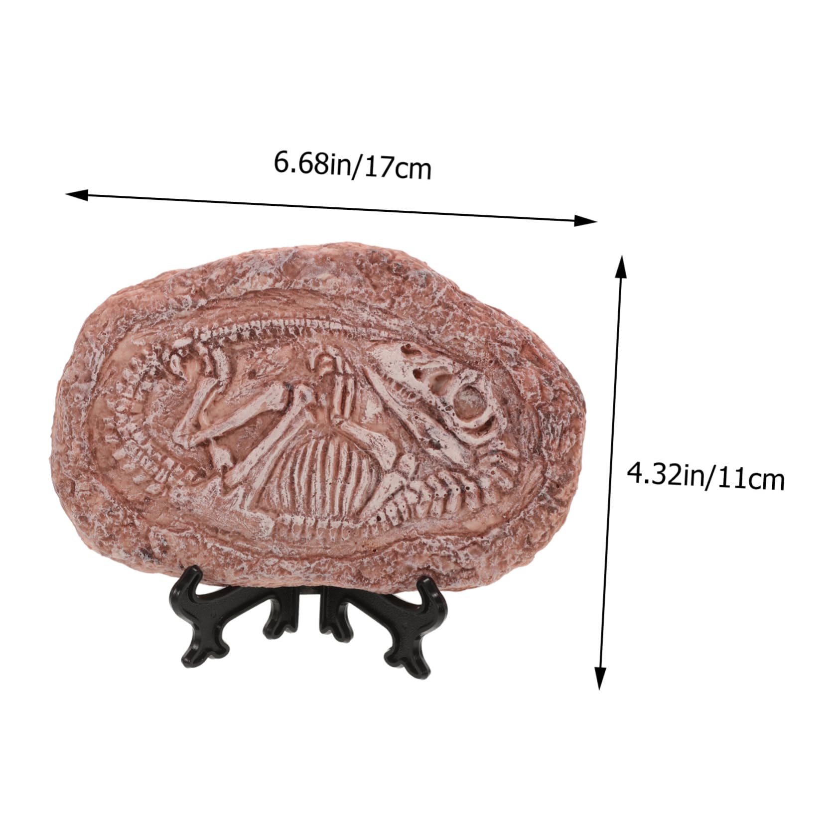 Kisangel Teaching Props Student Paleontology Ornament Resin Dinosaur Specimen Stone Decor
