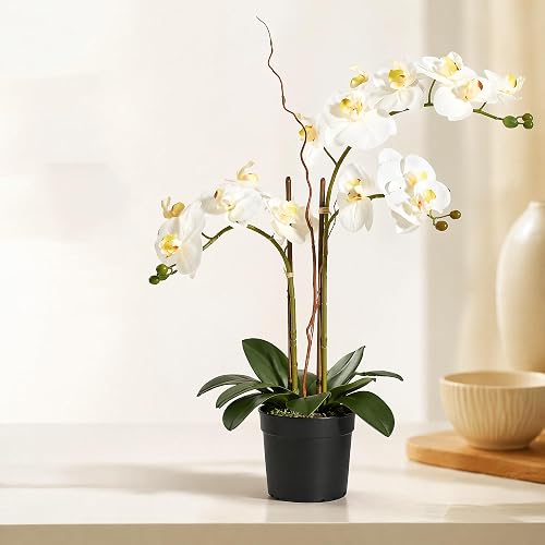 25-Inches Artificial White Orchid Plant (Without Pot) | Realistic Flowers,