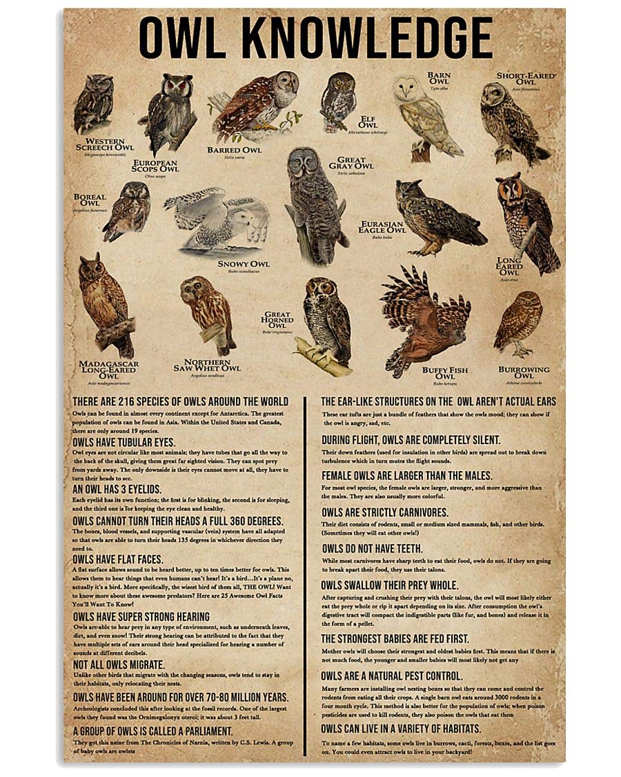 Knowledge Owls Poster Canvas Wall Art Watercolor Style