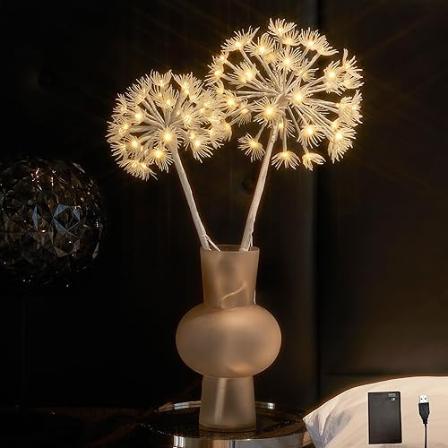 Hairui Ramas de sauce iluminadas con temporizador, 70 luces LED blancas cálidas, ramas de diente de león artificiales con luces, funciona con pilas
