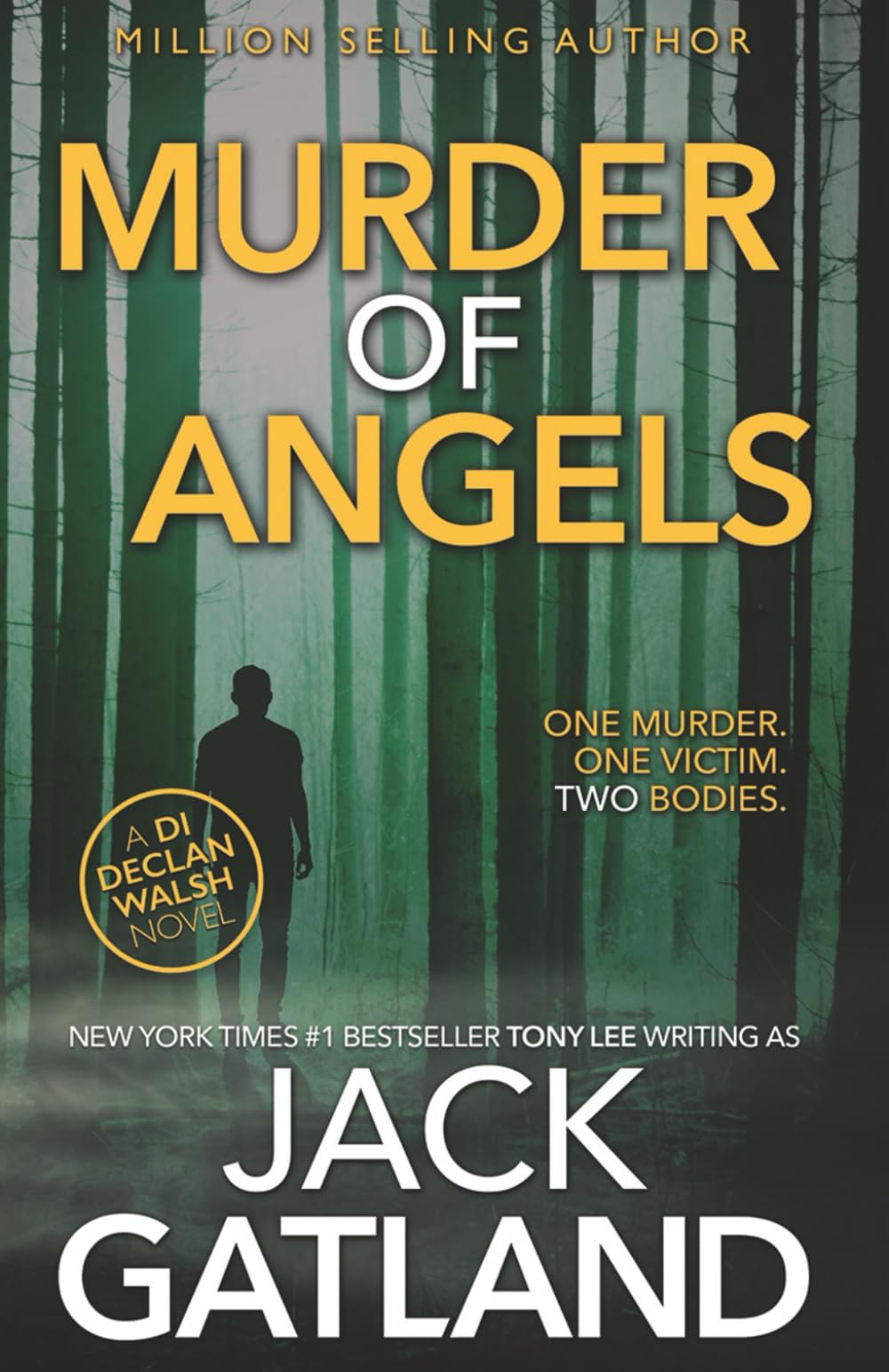 Murder Of Angels (Detective Inspector Declan Walsh Book 2)