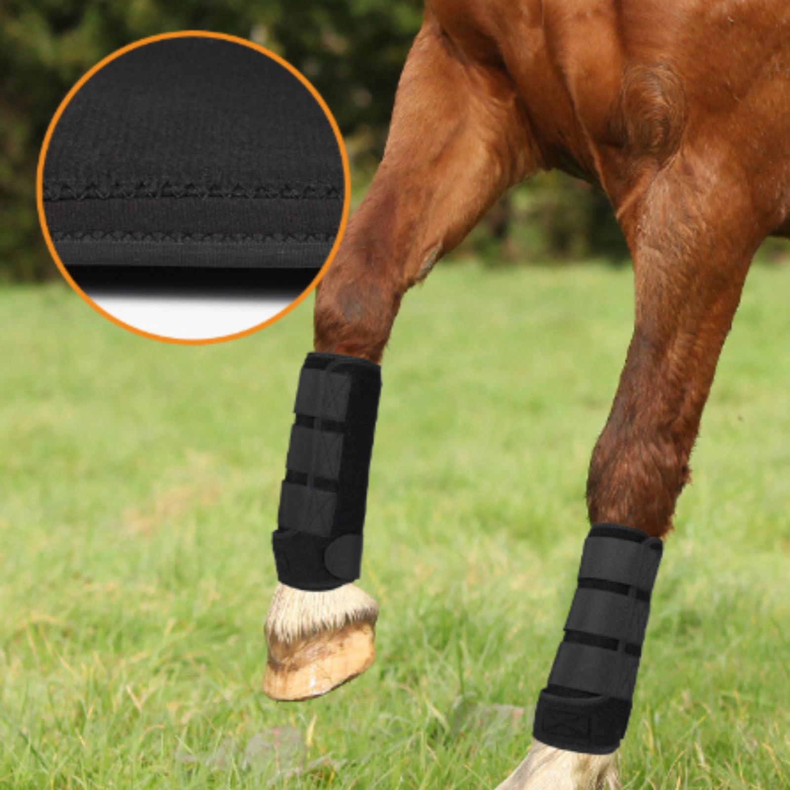 Predolo 4 Pezzi Protezioni Gambe Cavallo Antiurto Parastinchi Ammortizzanti Attrezzatura Equestre