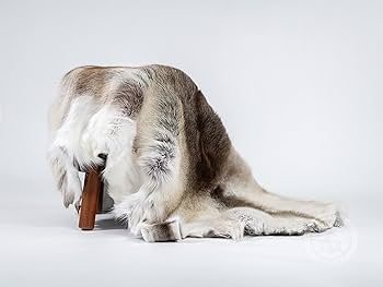 Amazon | Sunshine Cowhides 100% 本物の北欧トナカイハイドラグ